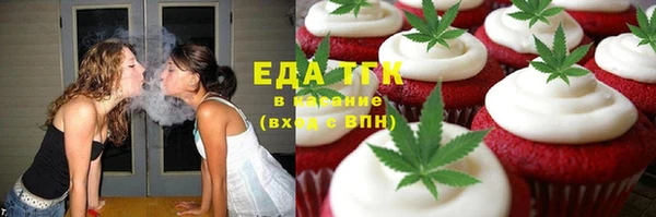 прущие грибы Абаза