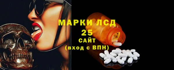 прущие грибы Абаза