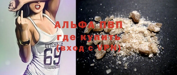 прущие грибы Абаза