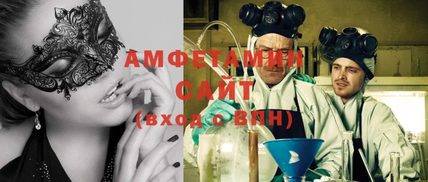 прущие грибы Абаза