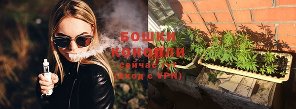 прущие грибы Абаза