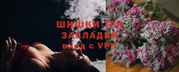 МДПВ Алзамай
