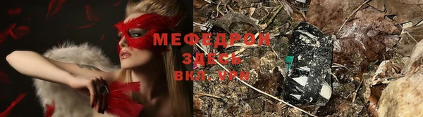 прущие грибы Абаза