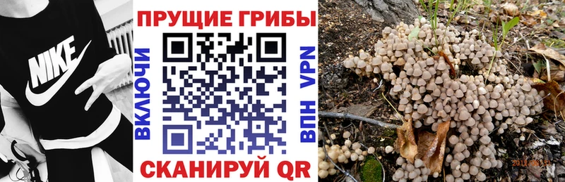 Псилоцибиновые грибы мухоморы  Гусиноозёрск 